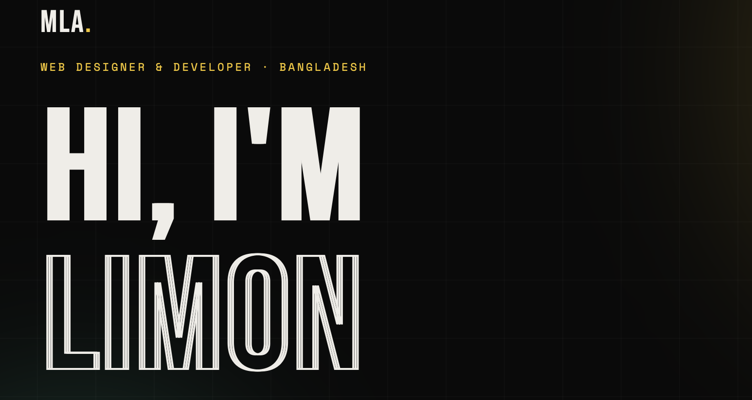 My Professional Portfolio